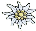Edelweiss